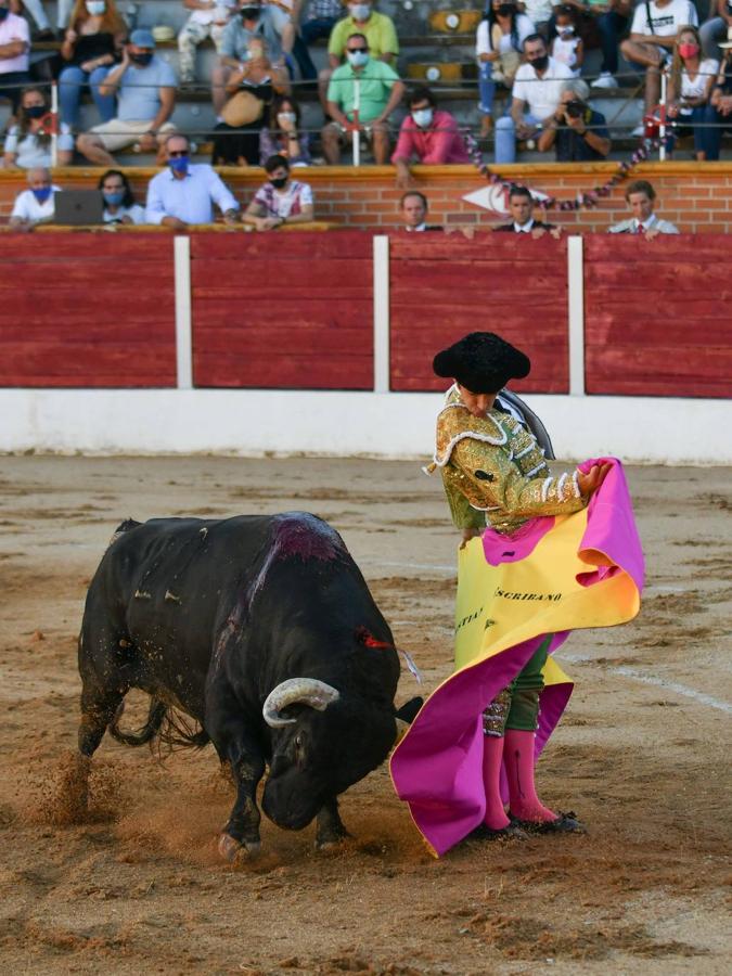 Nueve orejas en Equivias: la corrida, en imágenes