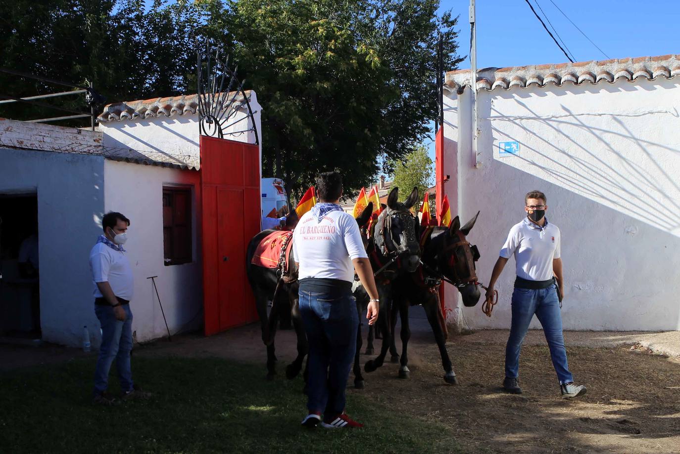 La novillada sin picadores de Sonseca en imágenes