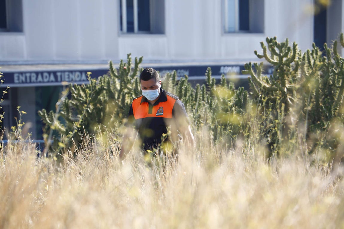 La búsqueda del hombre de 85 años desaparecido en Córdoba, en imágenes