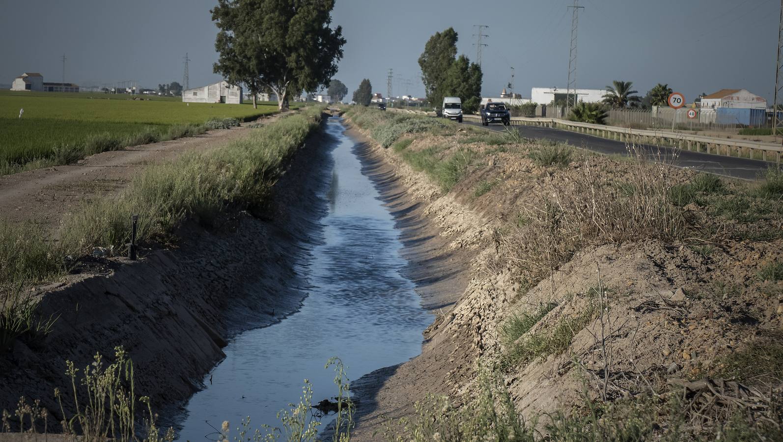 En imágenes, la belleza de unas marismas ahora en alerta por el virus del Nilo