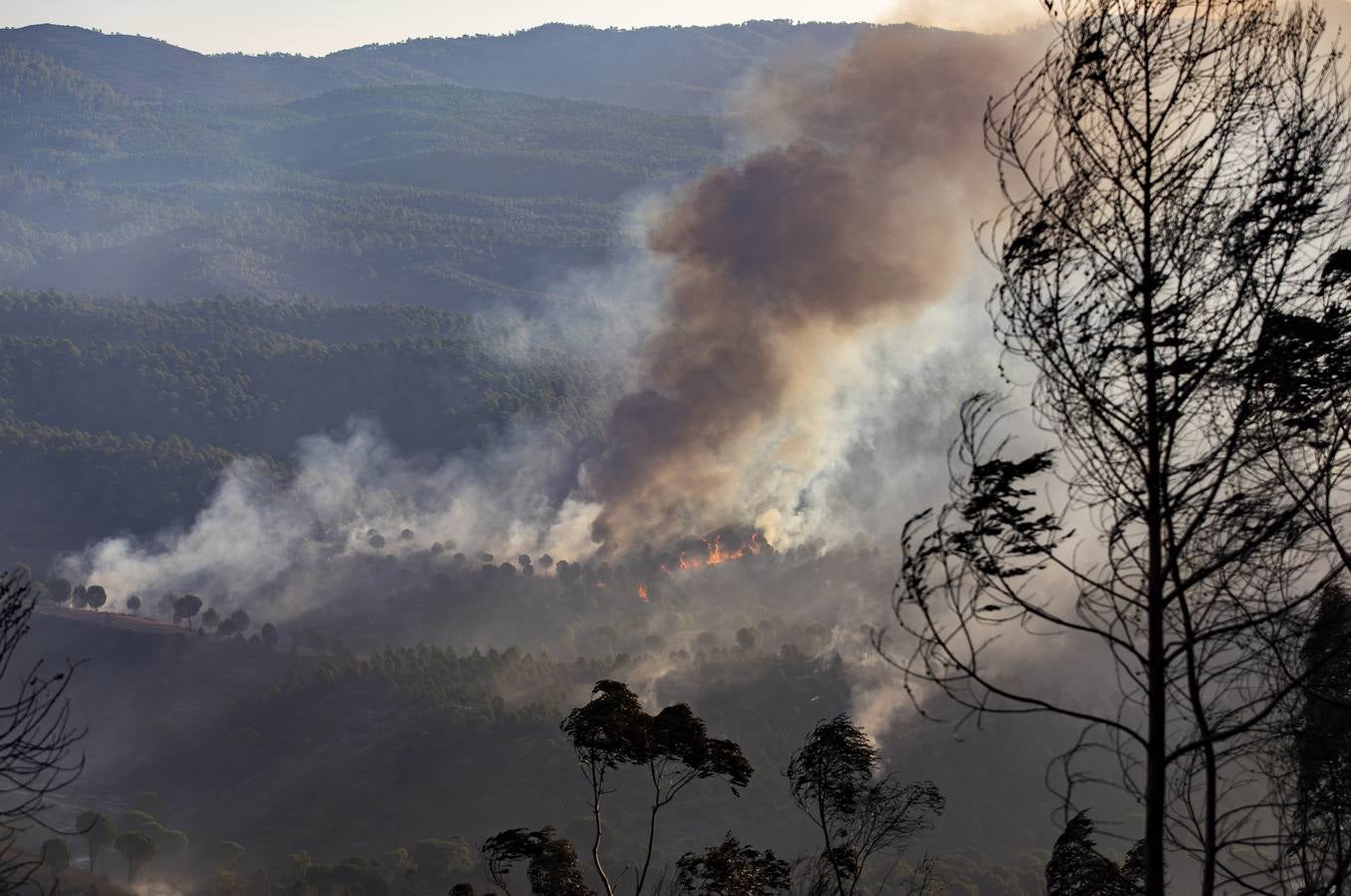 El incendio de Huelva continúa avanzando sin control, en imágenes