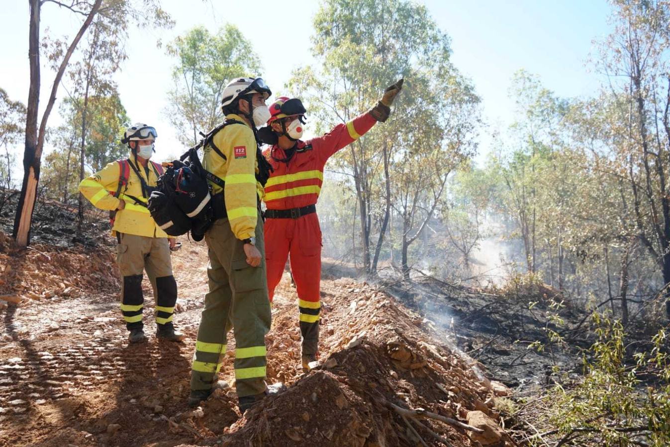 El incendio de Huelva continúa avanzando sin control, en imágenes