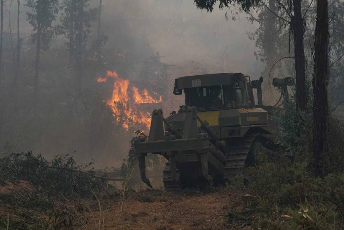 El incendio de Huelva continúa avanzando sin control, en imágenes