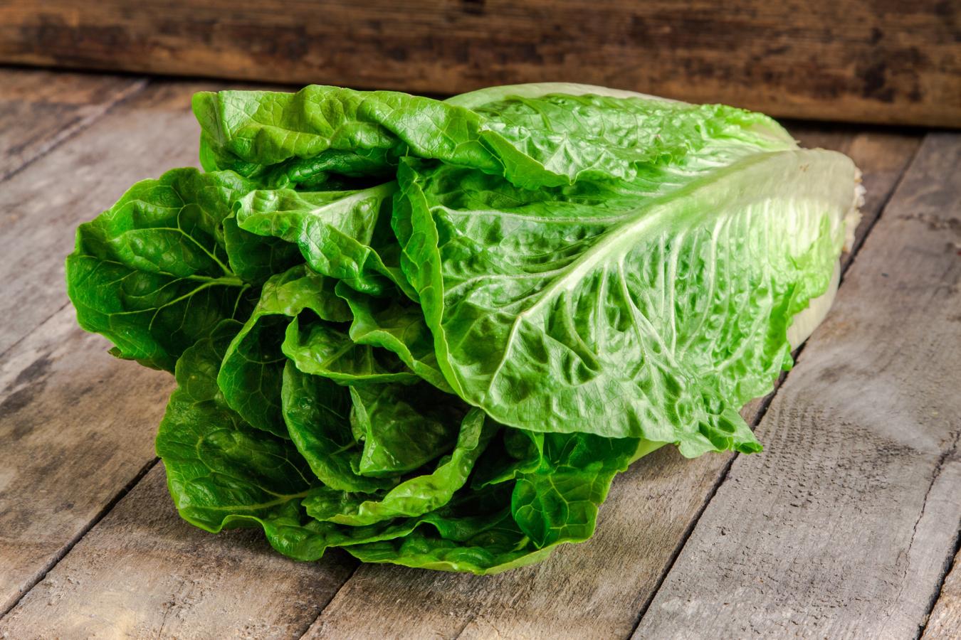 Lechuga. Se encuentran disponibles durante todo el año y podría decirse que su consumo óptimo son los doce meses del año. Las lechugas son de escasa duración por lo que es imprescindible saber elegirla y conservarla. Hay que elegir los ejemplares más enteros, de color uniforme y vivo con las hojas tiernas pero no marchitas, sin agujeros o zonas descoloridas.