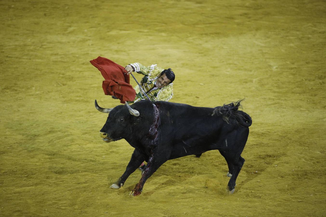 La corrida de toros en Priego de Córdoba, en imágenes