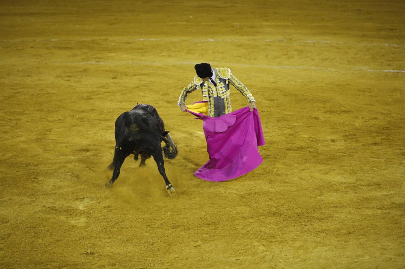 La corrida de toros en Priego de Córdoba, en imágenes