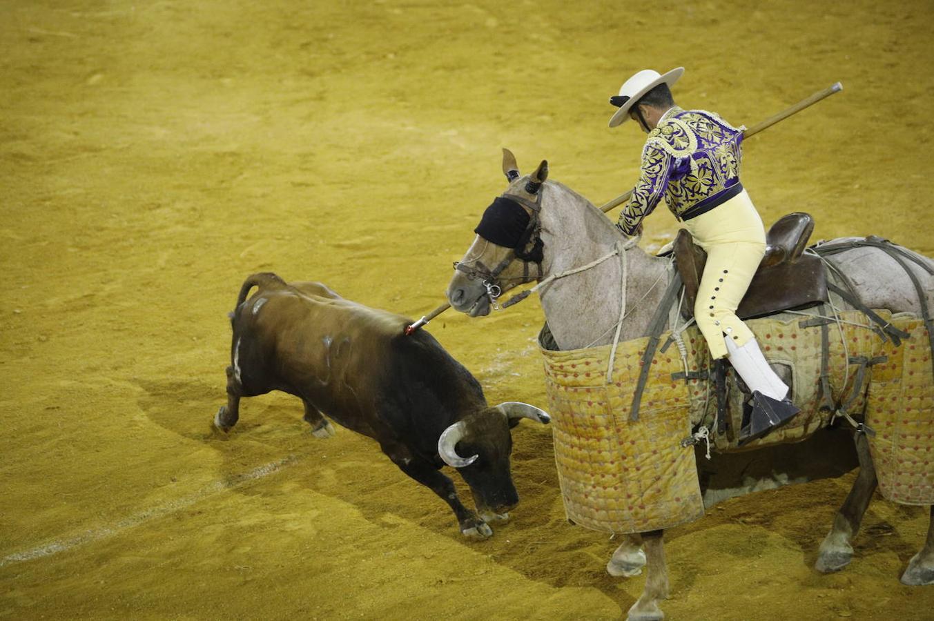 La corrida de toros en Priego de Córdoba, en imágenes