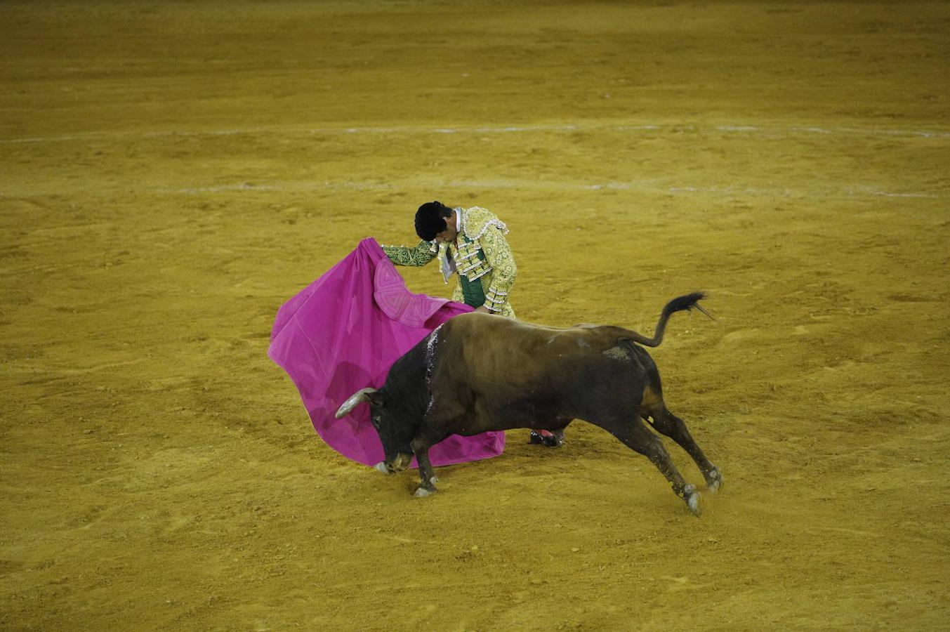 La corrida de toros en Priego de Córdoba, en imágenes