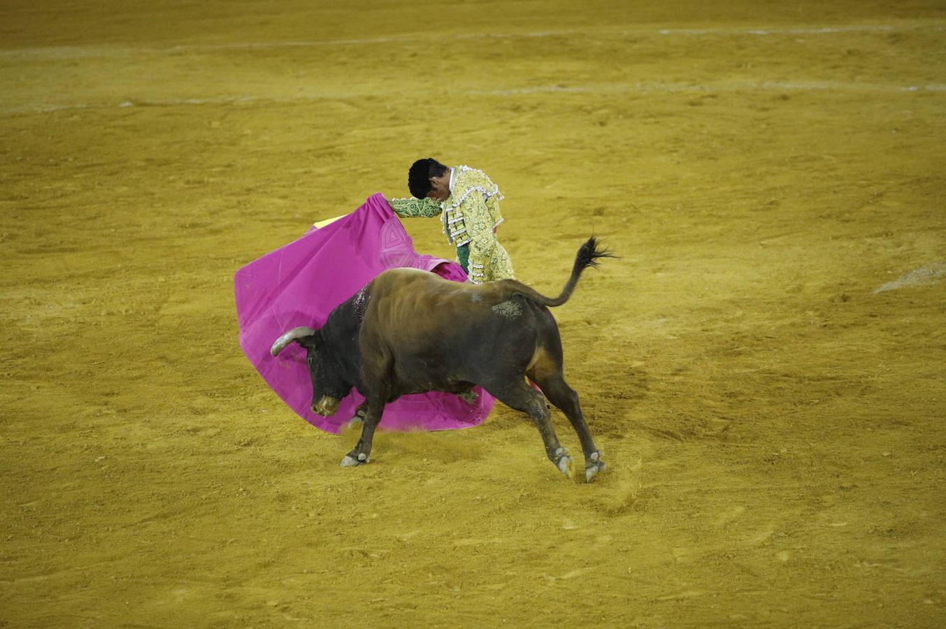 La corrida de toros en Priego de Córdoba, en imágenes