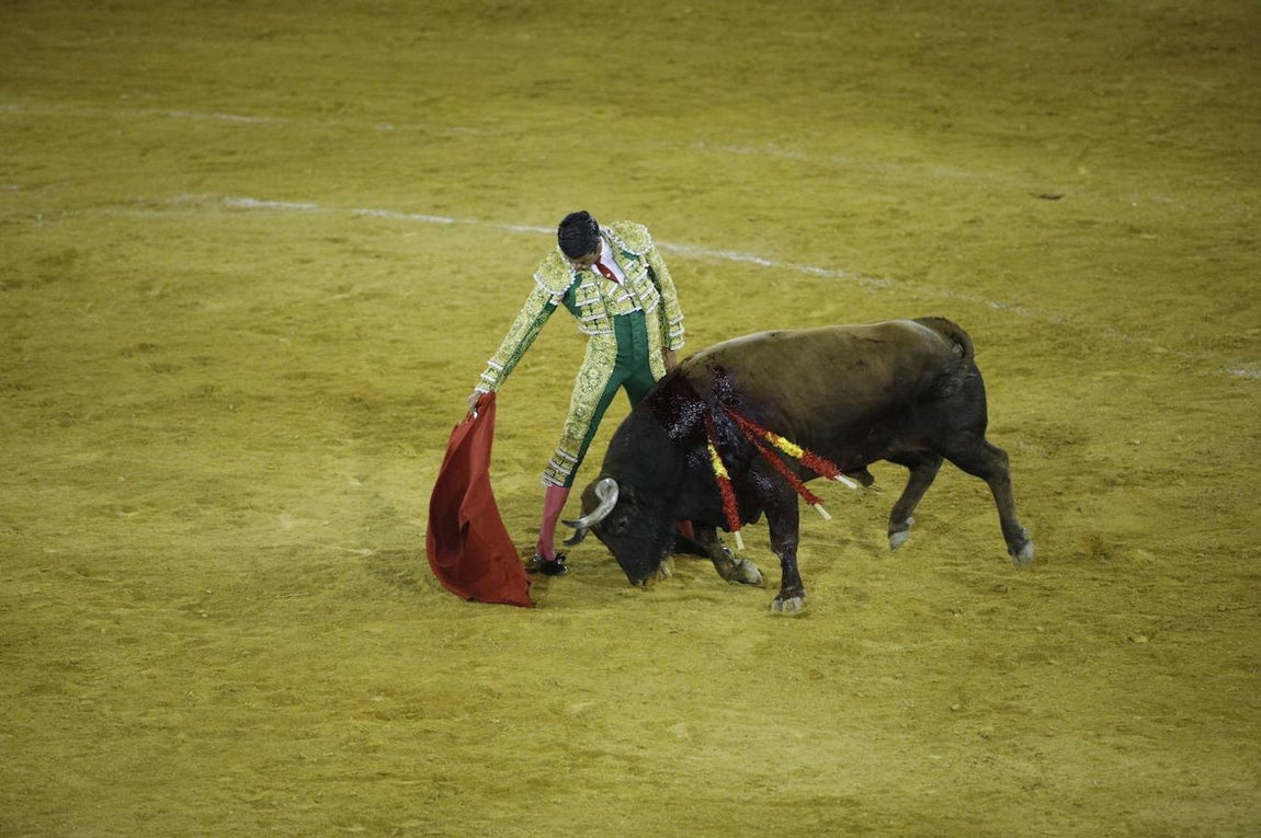 La corrida de toros en Priego de Córdoba, en imágenes