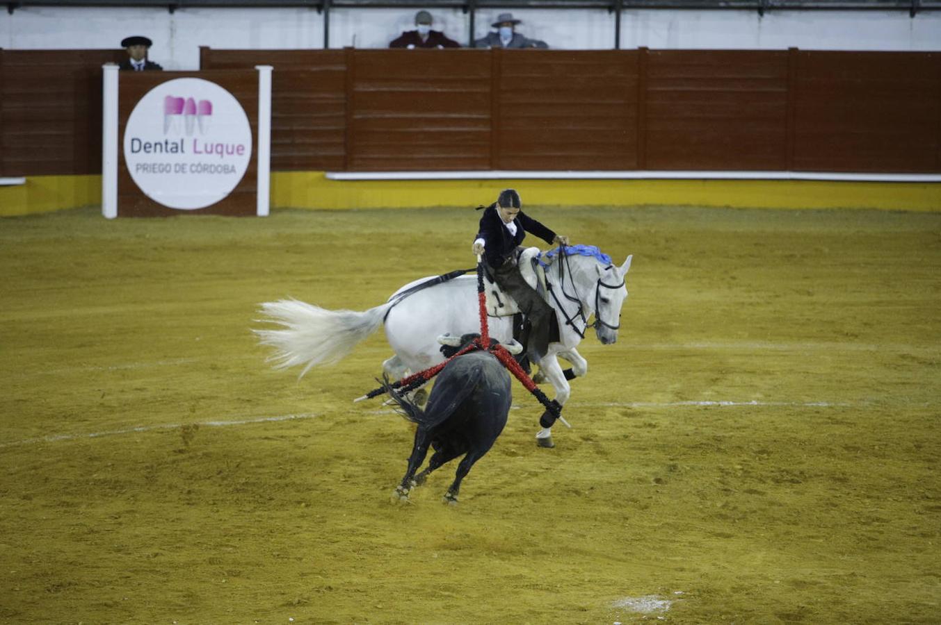 La corrida de toros en Priego de Córdoba, en imágenes