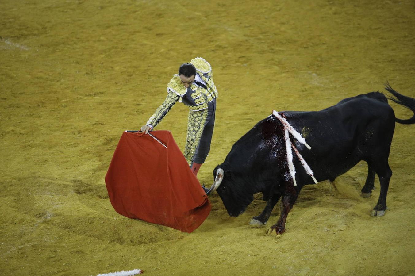 La corrida de toros en Priego de Córdoba, en imágenes