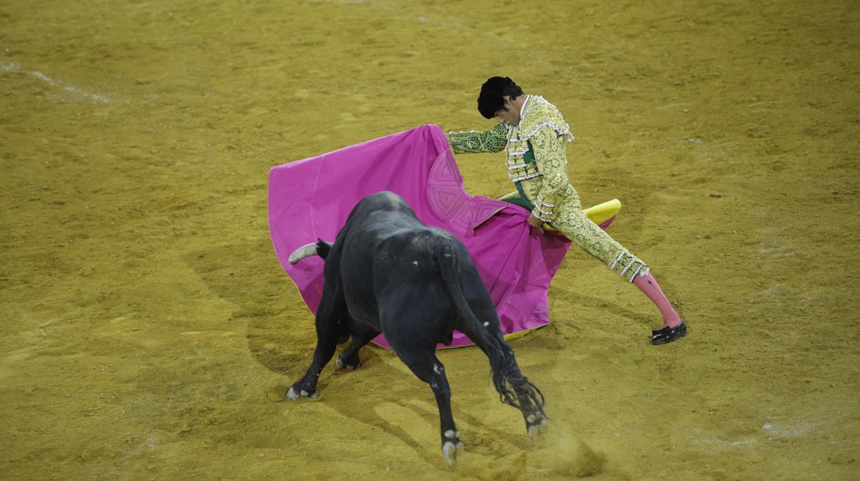 La corrida de toros en Priego de Córdoba, en imágenes