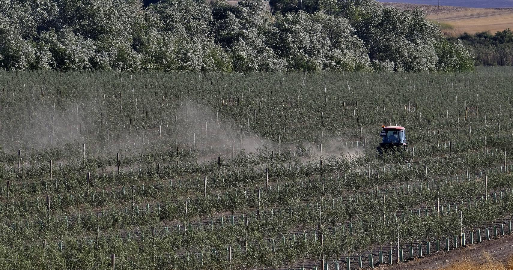 Finca El Valenciano: de cortijo a «startup», en imágenes