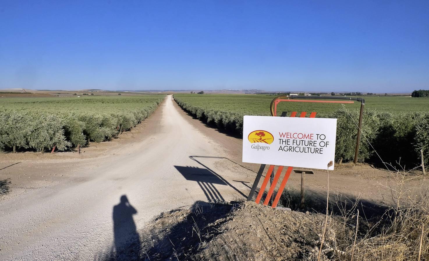 Finca El Valenciano: de cortijo a «startup», en imágenes