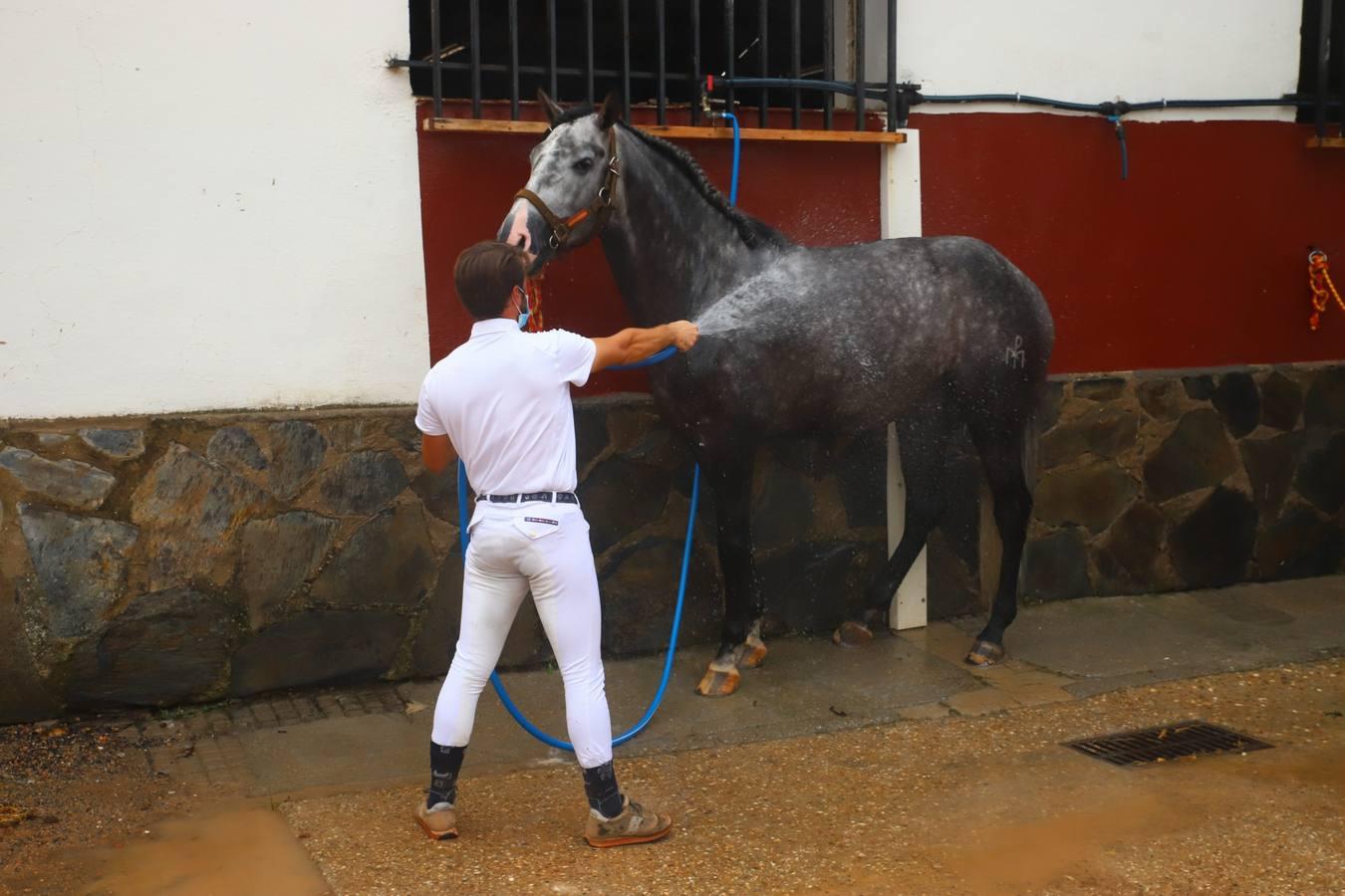 El concurso nacional de doma clásica en Caballerizas Reales, en imágenes