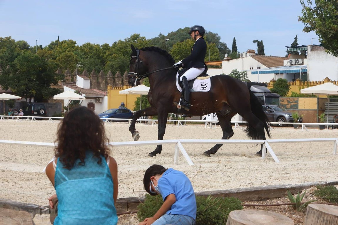 El concurso nacional de doma clásica en Caballerizas Reales, en imágenes