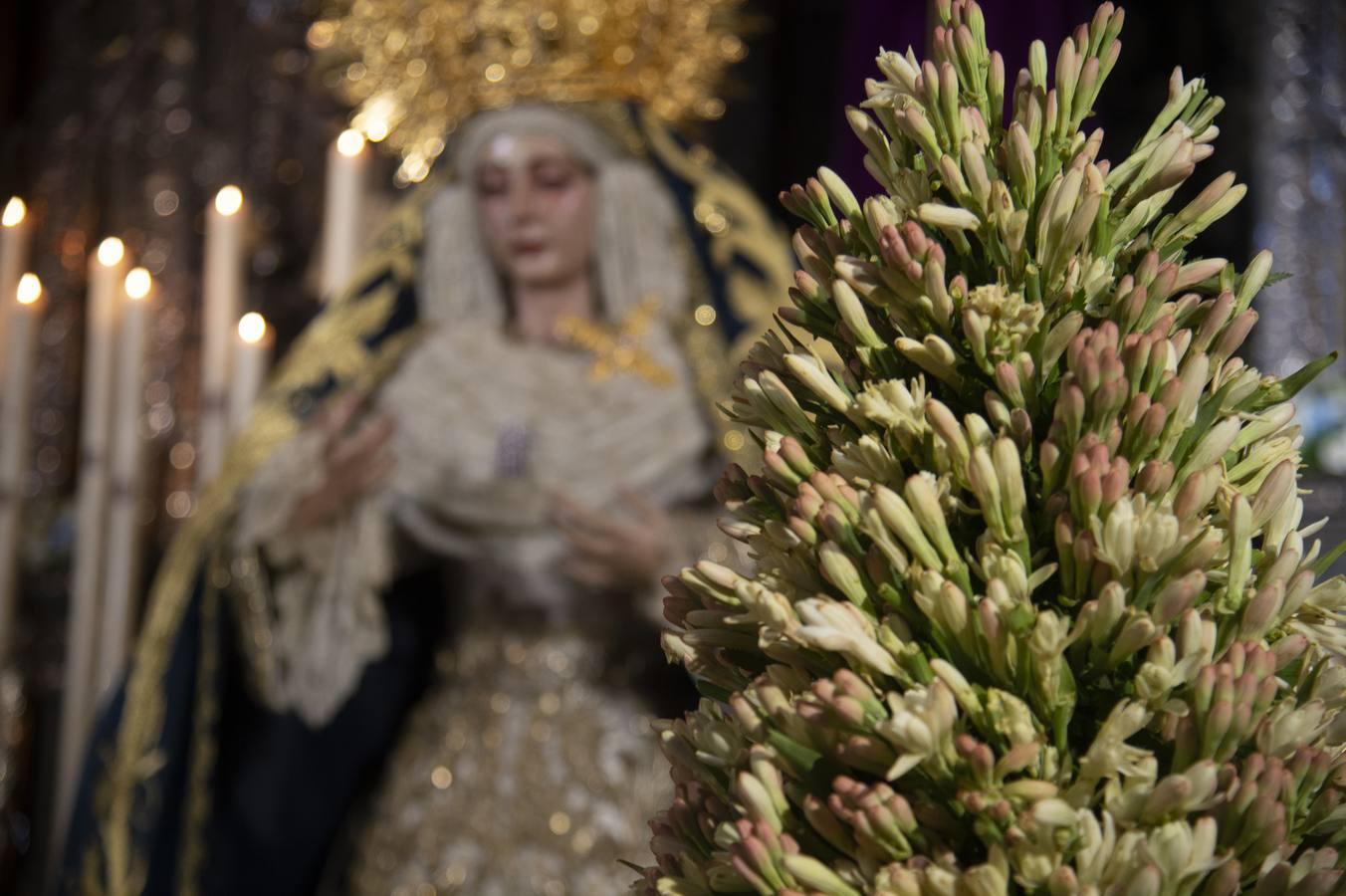 Las imágenes del «besamanos» de la Virgen de la Merced de Pasión