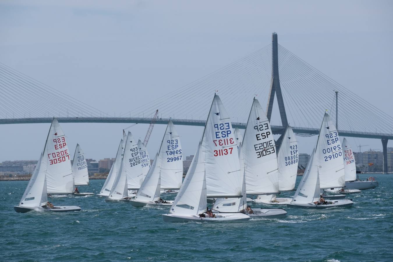 I Trofeo Aniversario de la Flota Snipe Cádiz