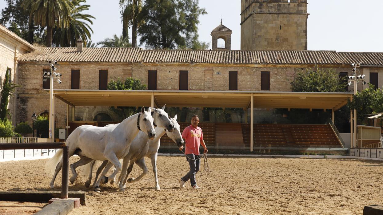 La presentación de Cabalcor 2020, en imágenes