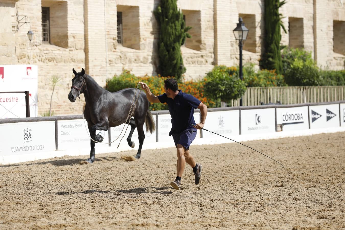 La presentación de Cabalcor 2020, en imágenes