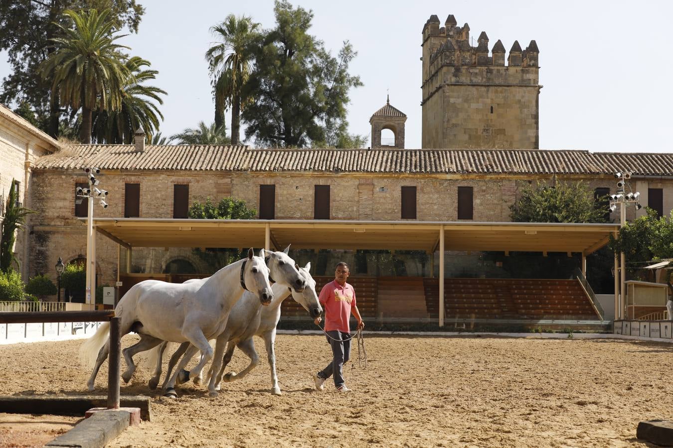 La presentación de Cabalcor 2020, en imágenes