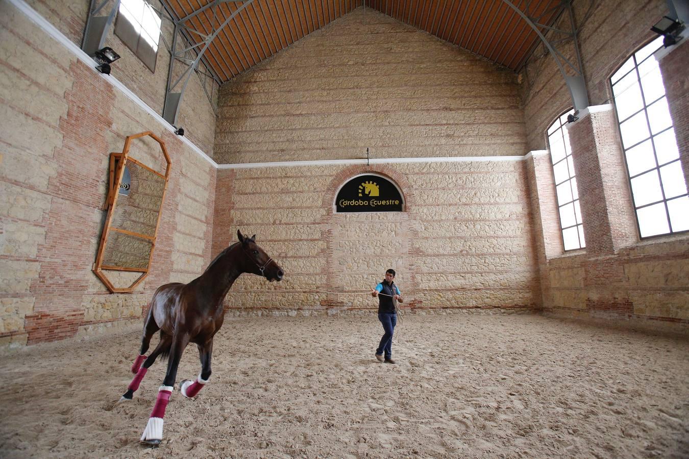 La Feria del Caballo de Córdoba (Cabalcor) calienta motores