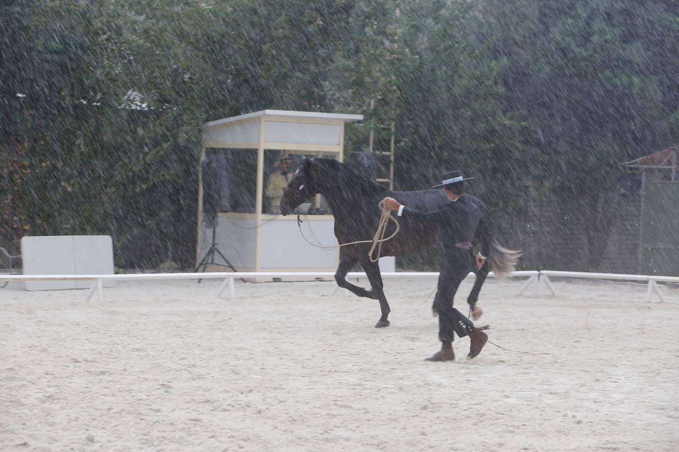 La Feria del Caballo de Córdoba (Cabalcor) calienta motores