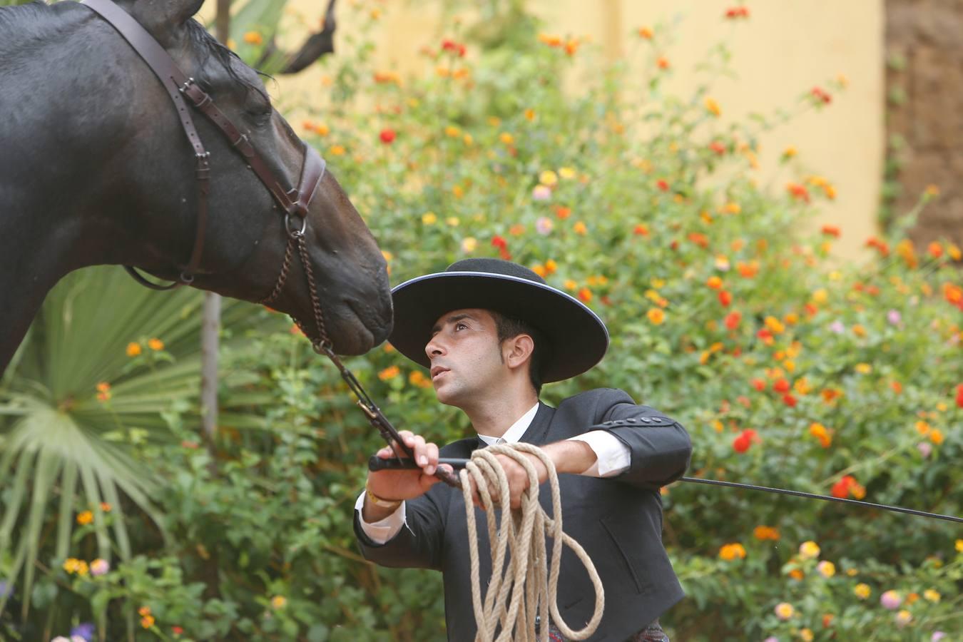 La Feria del Caballo de Córdoba (Cabalcor) calienta motores