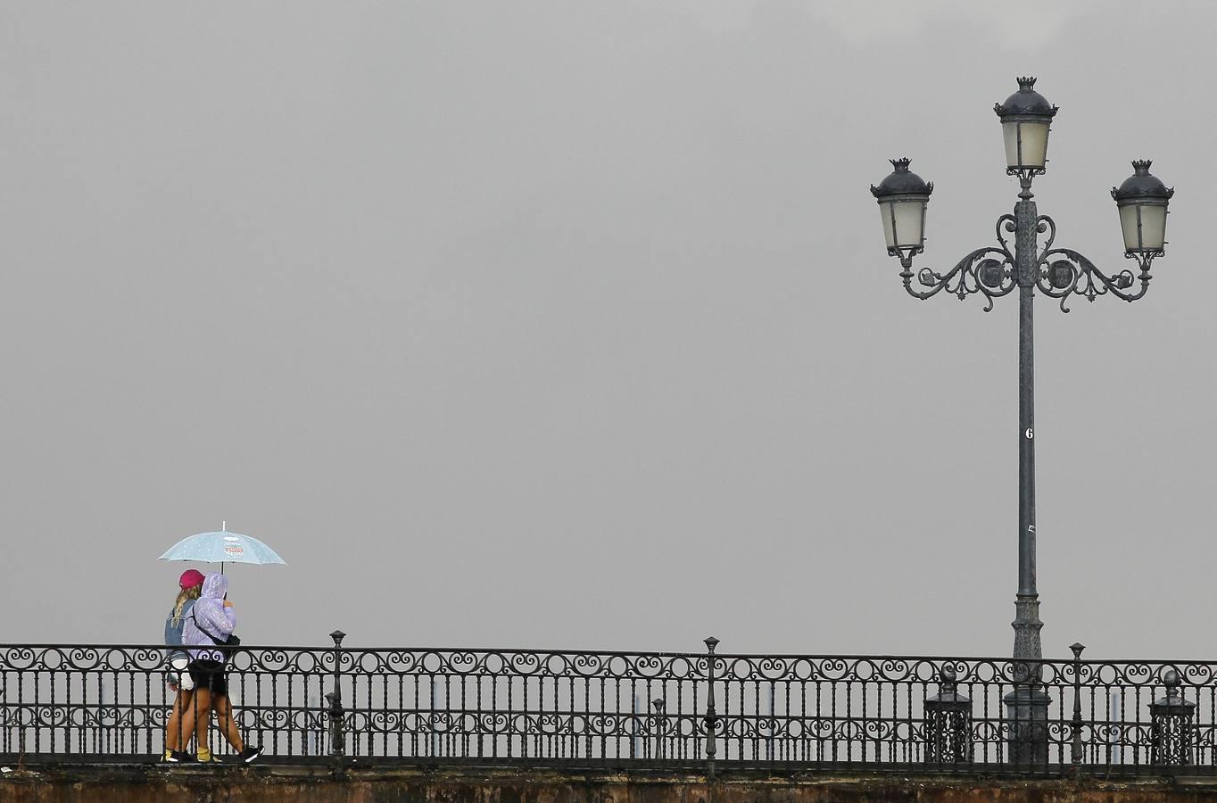 Sevilla, en alerta amarilla a causa de la lluvia