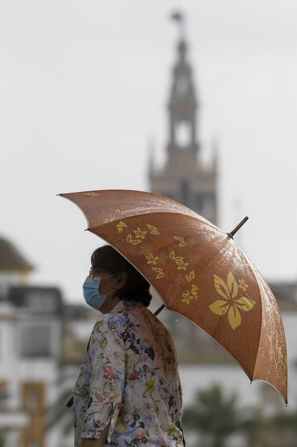 Sevilla, en alerta amarilla a causa de la lluvia