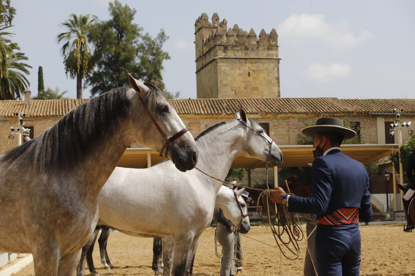 La entrega de premios del «Ciudad de Córdoba», en imágenes