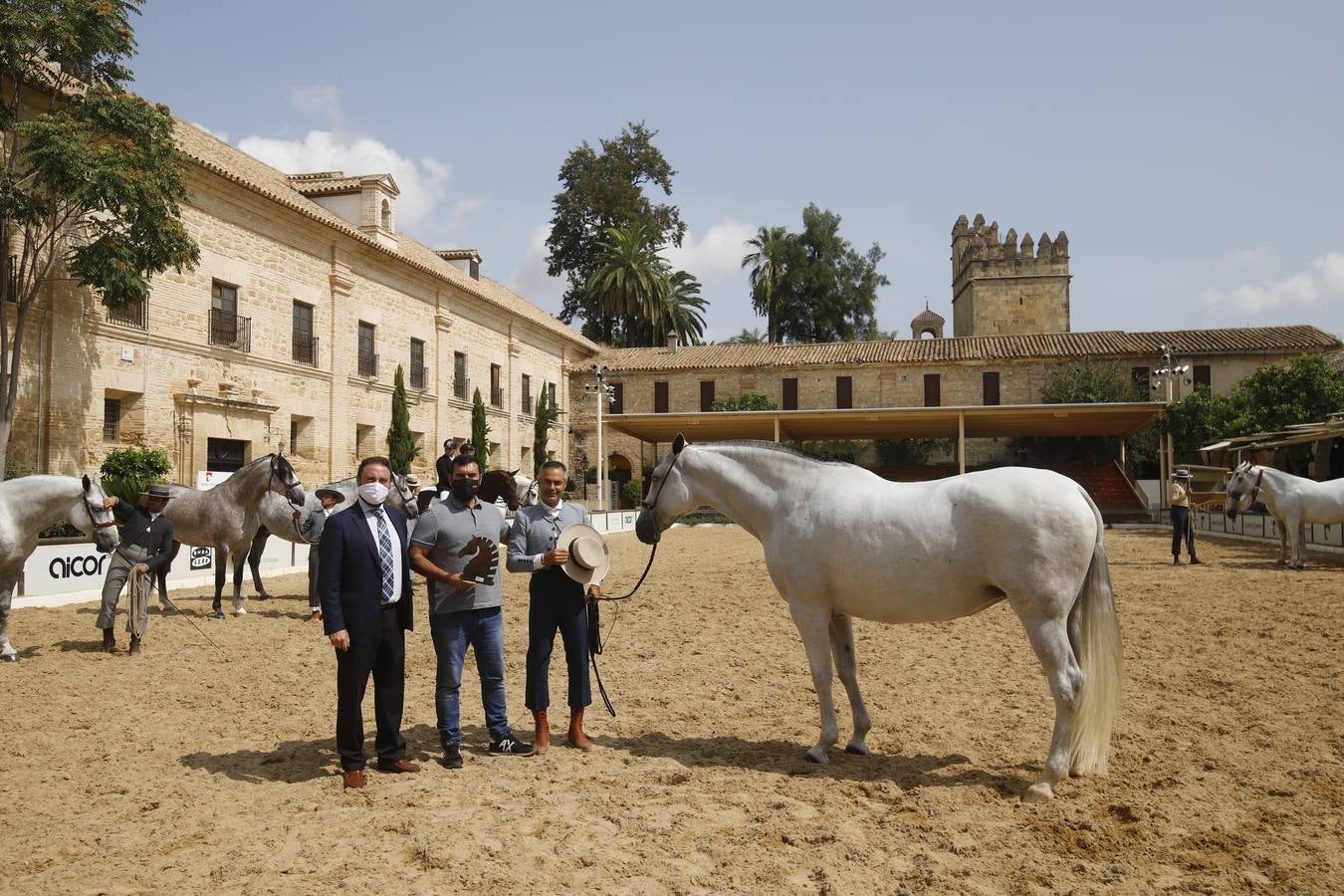 La entrega de premios del «Ciudad de Córdoba», en imágenes