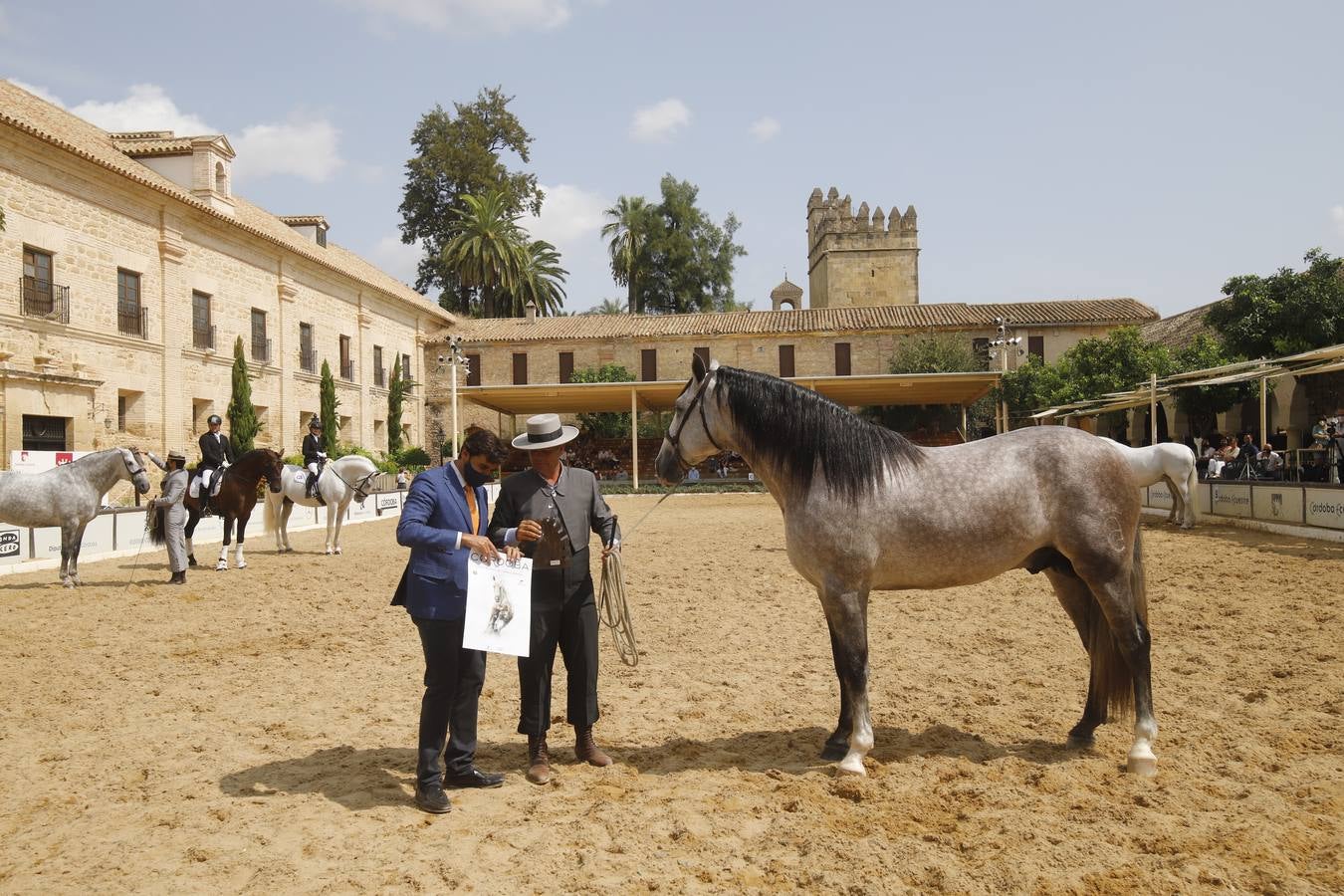 La entrega de premios del «Ciudad de Córdoba», en imágenes