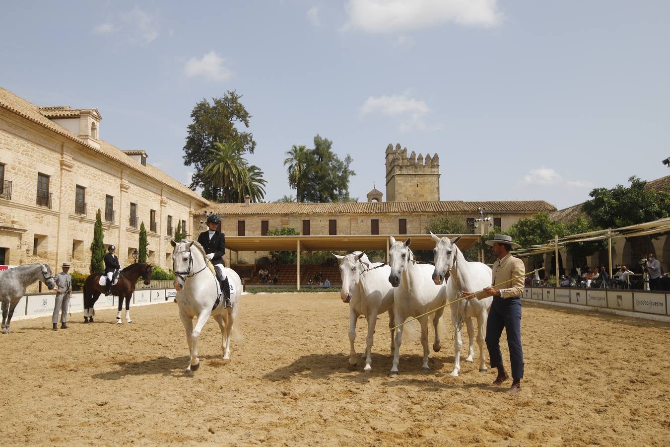 La entrega de premios del «Ciudad de Córdoba», en imágenes