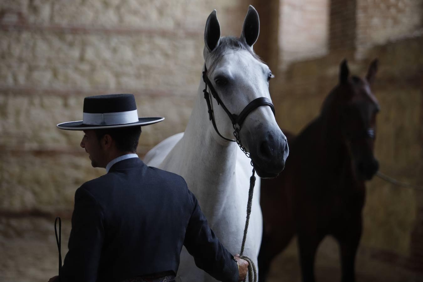 La entrega de premios del «Ciudad de Córdoba», en imágenes