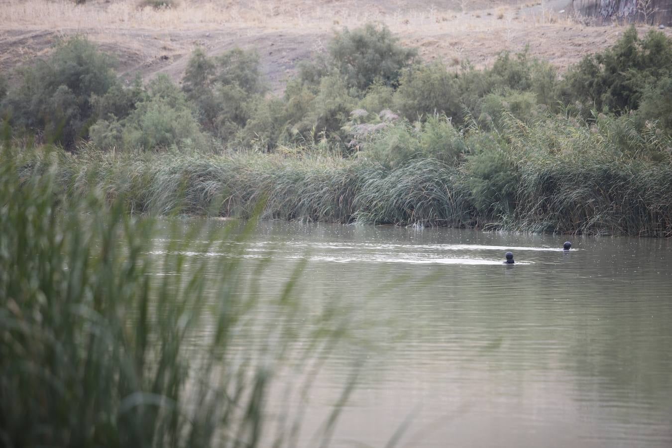 La búsqueda de José Morilla en el Guadalquivir, en imágenes