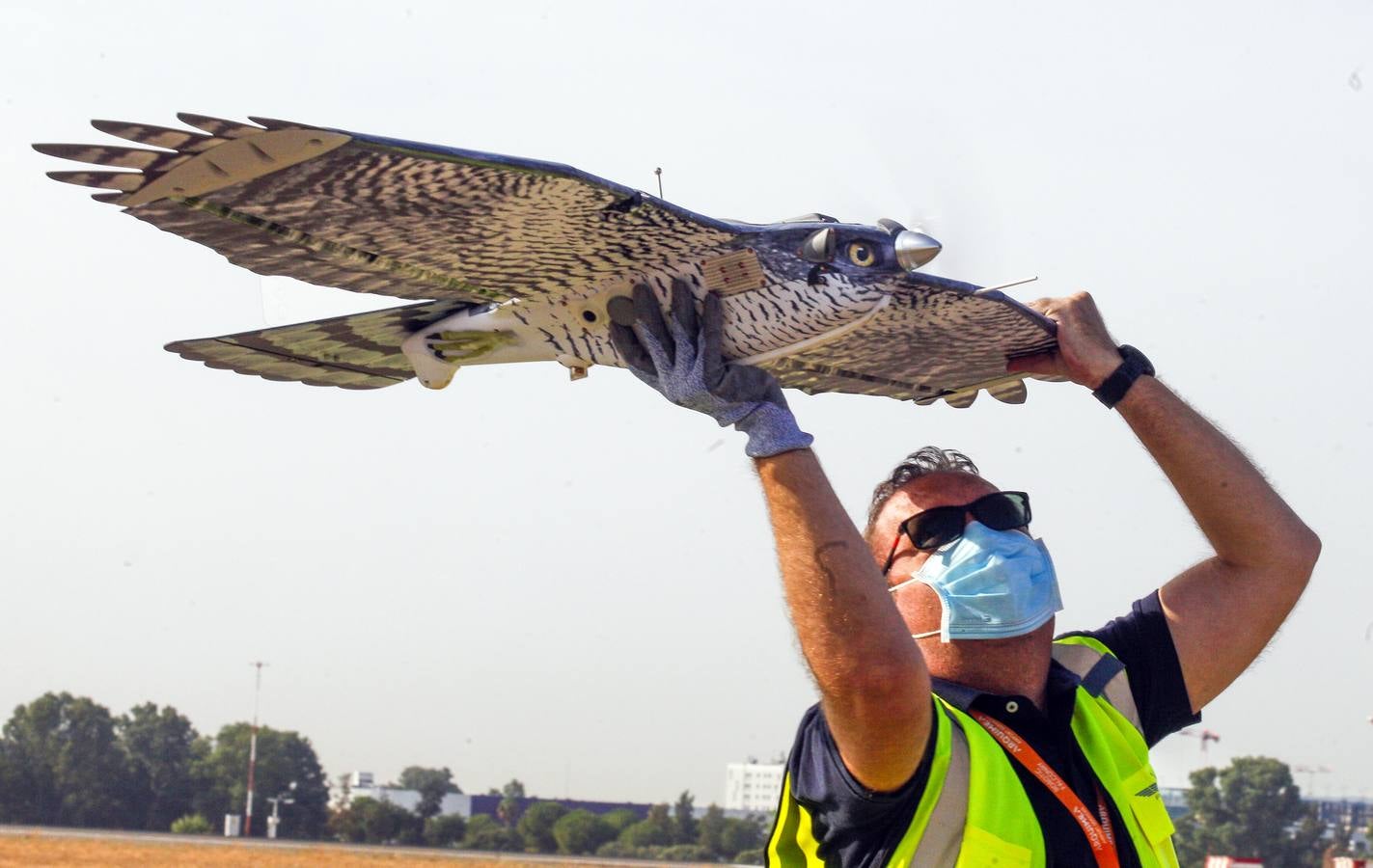 Drones para ahuyentar a la fauna en el aeropuerto de Sevilla