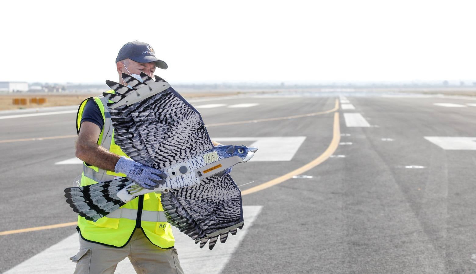 Drones para ahuyentar a la fauna en el aeropuerto de Sevilla