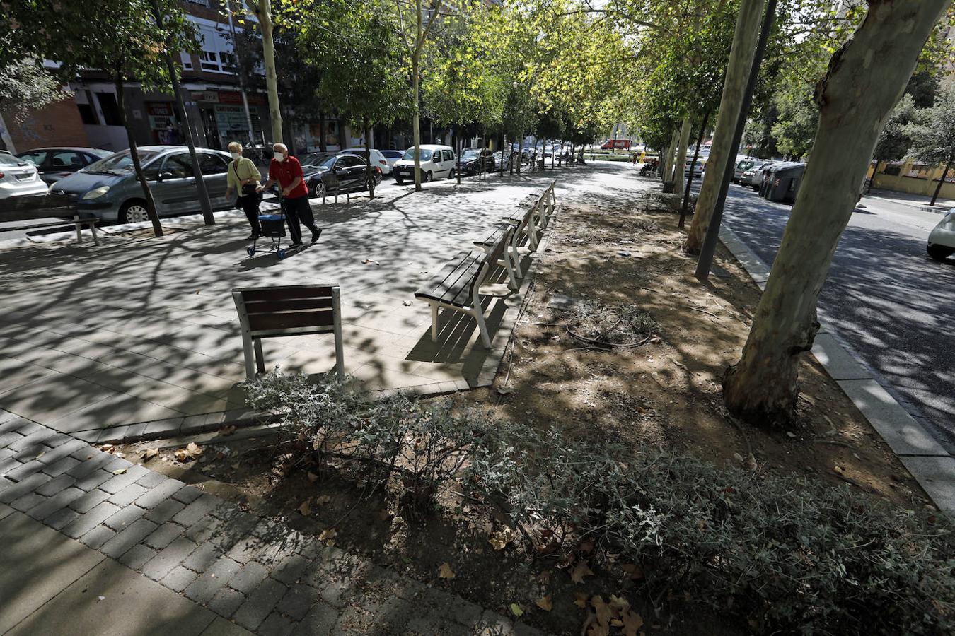 El deterioro del barrio de Ciudad Jardín, de Córdoba, en imágenes