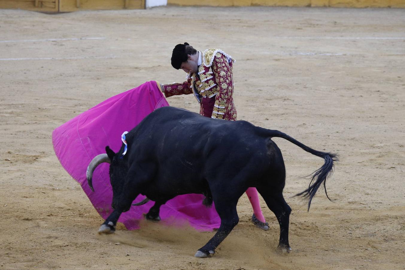 La corrida de toros en Cabra, en imágenes