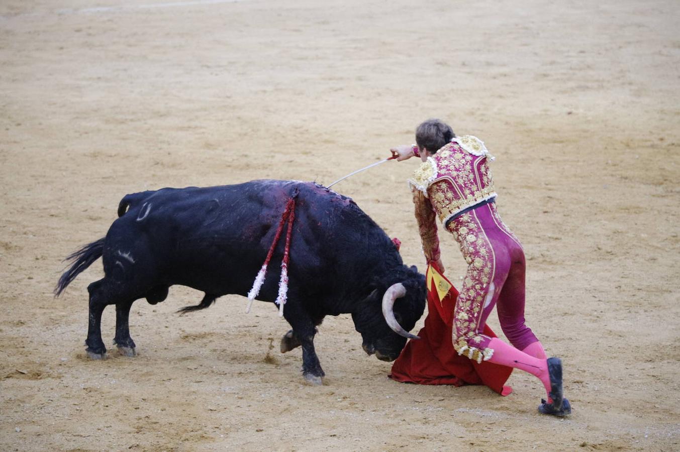 La corrida de toros en Cabra, en imágenes