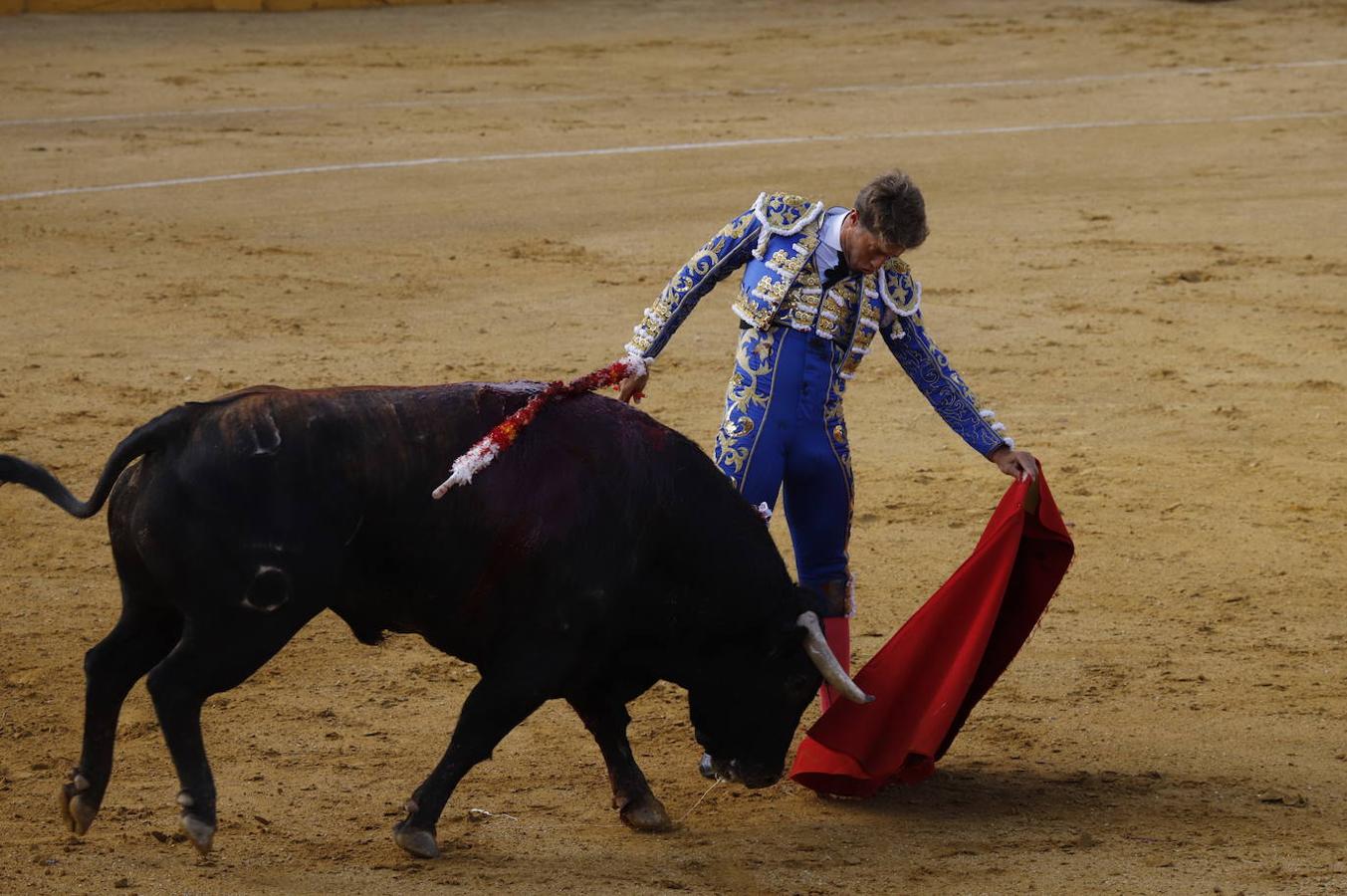 La corrida de toros en Cabra, en imágenes