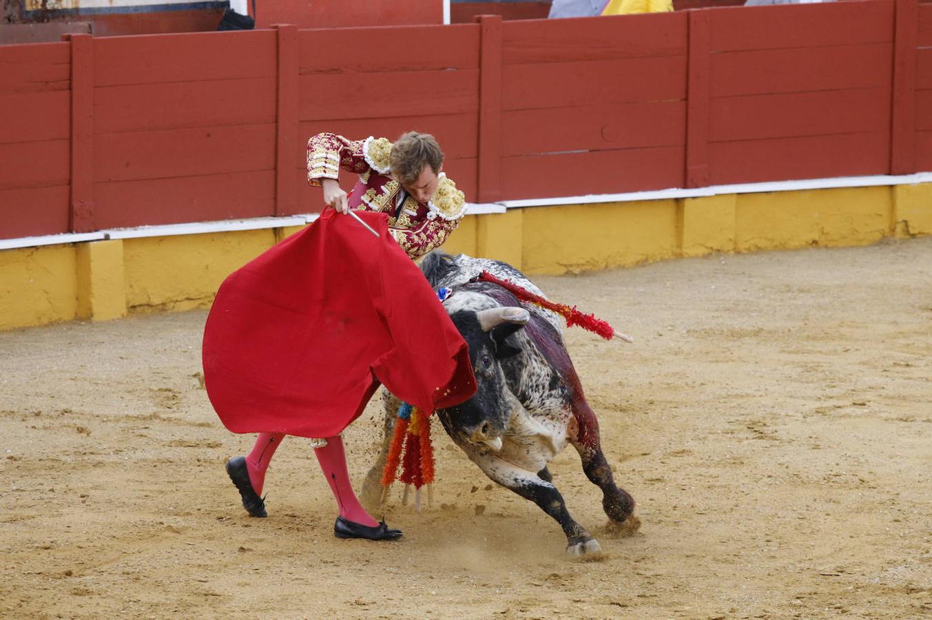 La corrida de toros en Cabra, en imágenes