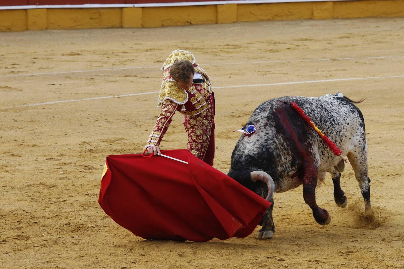 La corrida de toros en Cabra, en imágenes