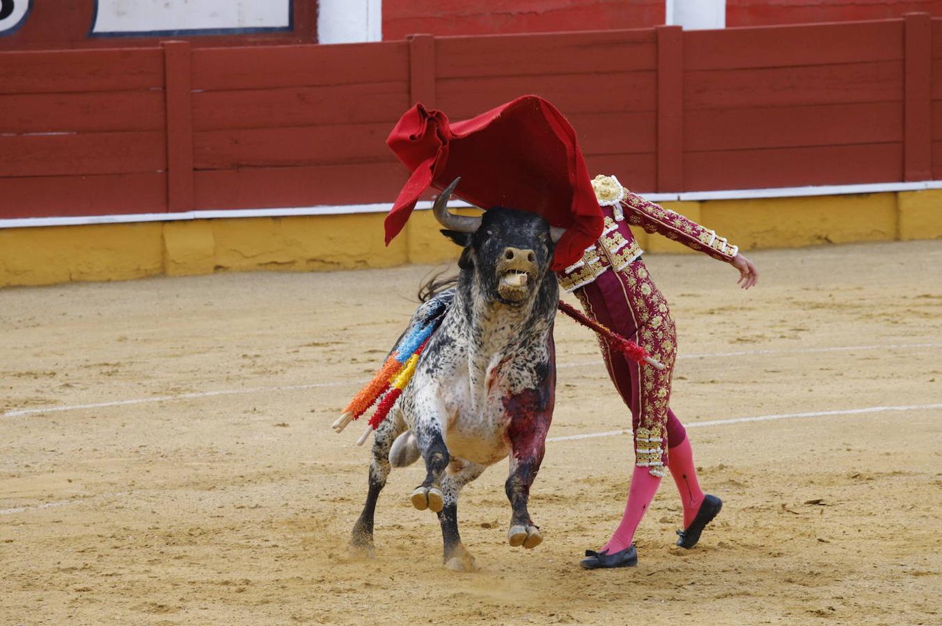 La corrida de toros en Cabra, en imágenes