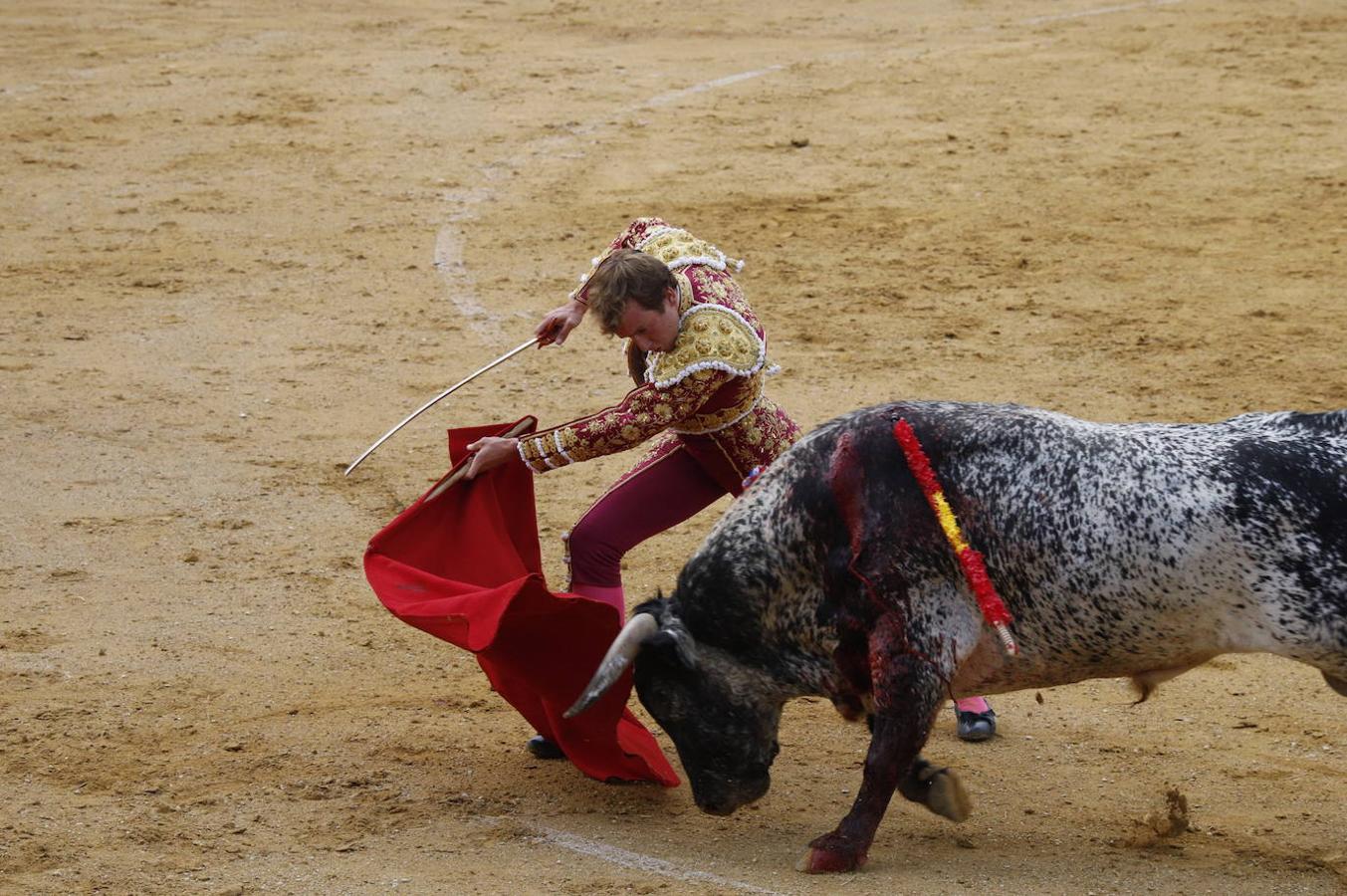 La corrida de toros en Cabra, en imágenes