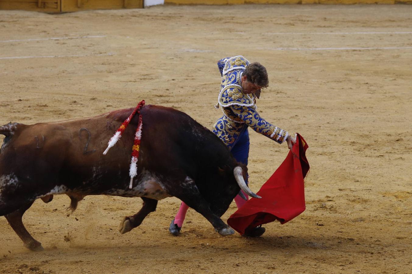 La corrida de toros en Cabra, en imágenes