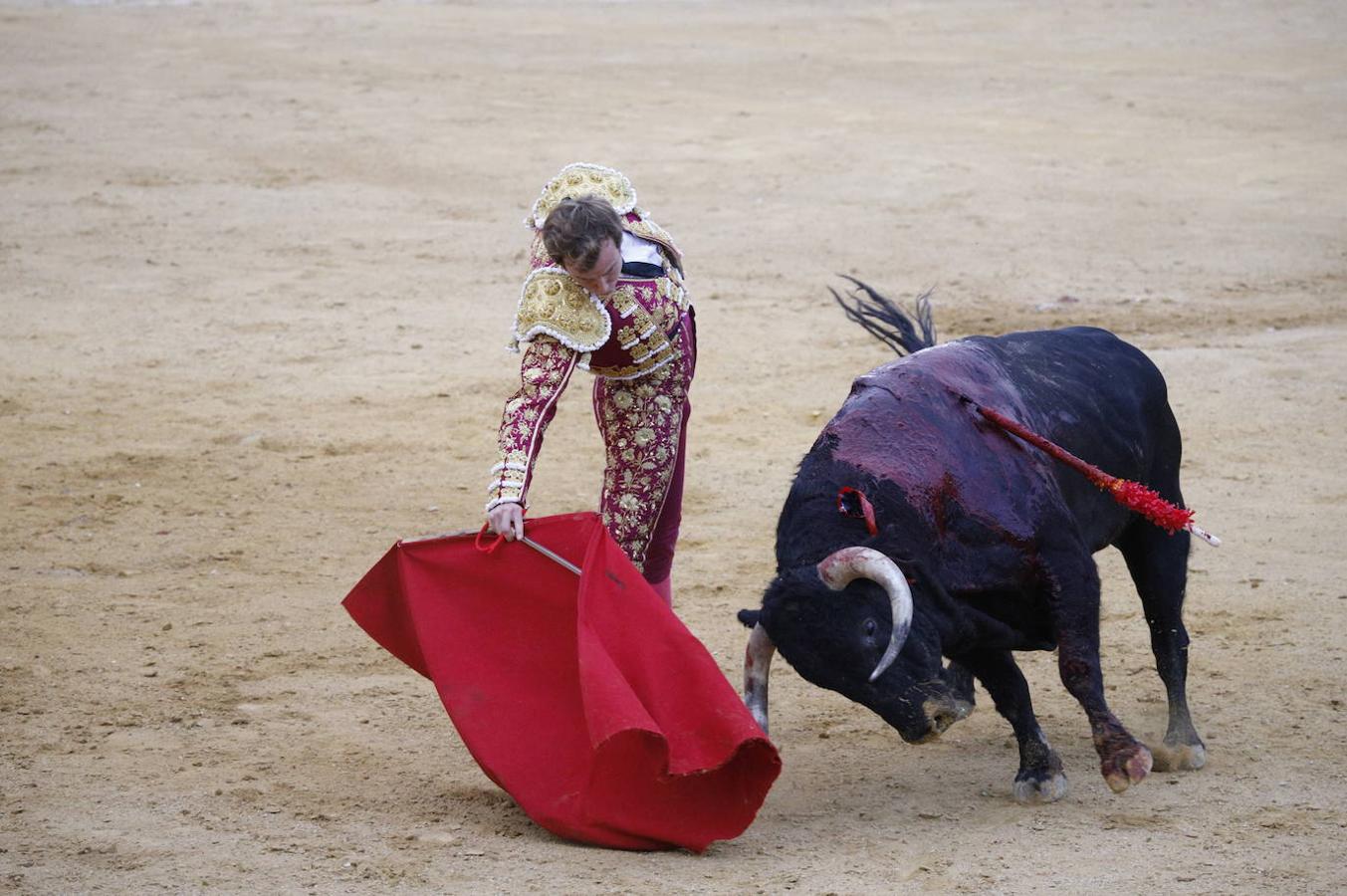 La corrida de toros en Cabra, en imágenes