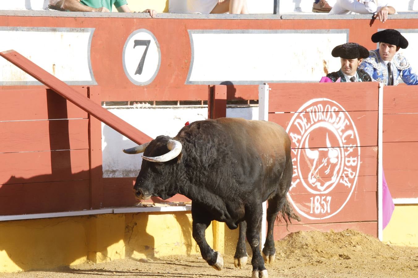 El «mano a mano» de enrique Ponce y Curro Díaz en Cabra, en imágenes (I)